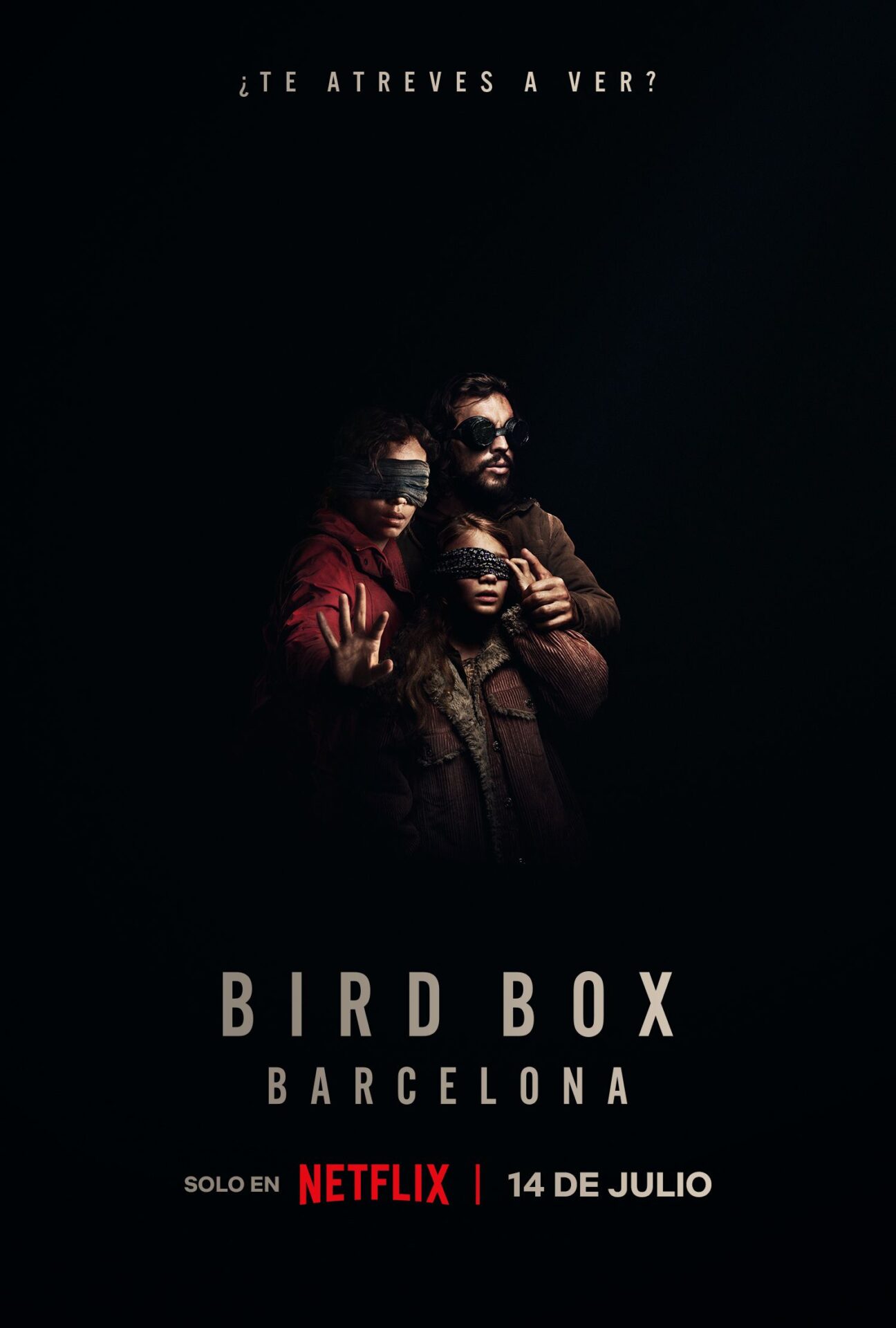ᐉ Final Explicado Bird Box Barcelona