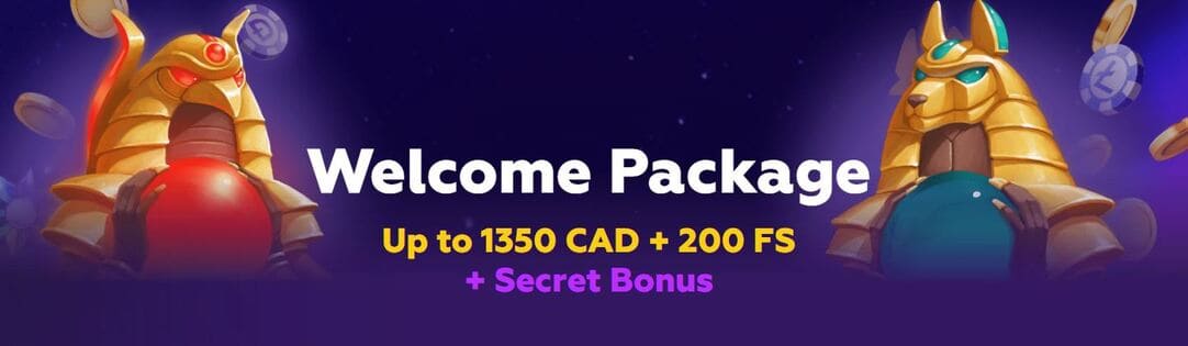 Maximize Your Experience at Playfina Casino: A Comprehensive Guide